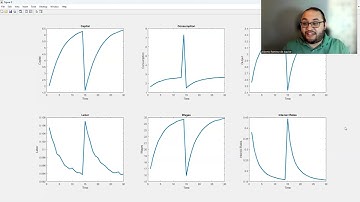 The Neoclassical Growth Model (Theory and MATLAB): Course Introduction Video