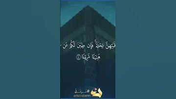 تلاوة من سورة النساء الجزء الرابع آية ٤ الشيخ ناصر القطامي