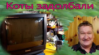 500 долларов за Panasonic. Его не любят коты. Теперь не включается. Ремонт телевизора в 2023 году.