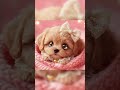 DEEP RELAX MUSIC ♫ Stress Relief, Calm Mind and Body #healing #relaxing #music #cute