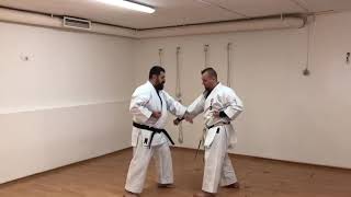 Shotei uke osae uke / training circular soft block screenshot 3