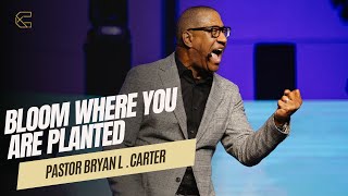 Bloom Where Youre Planted In The Beginning Series - Concord Church