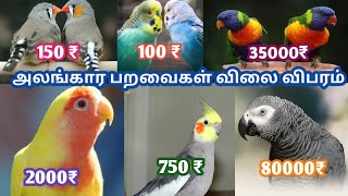 Exotic birds price list ||all types of parrot ||வீட்டில் வளர்க்கும் அலங்கார பறவைகளின் விலை விபரம்...