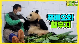 (SUB) Панда прощается со смотрителем зоопарка, который растил ее 3 года│Семья Панды🐼