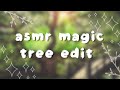 ASMR photo editing a magic tree