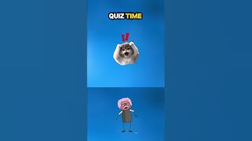 #quiz #braintestsolution #riddles #challenge #riddlejourney