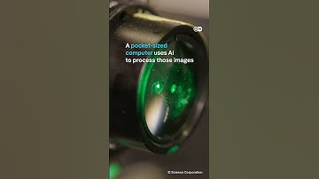 Can AI and retinal implants reverse blindness?