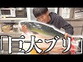 お正月用に1匹1万円の巨大ブリを捌く…