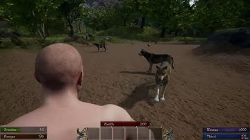 UE4 Solo-Dev - Multiplayer RPG - WOLVES