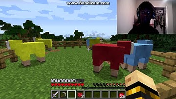 Minecraft- How To Change Sheep Wool Color!!! 1.7.4