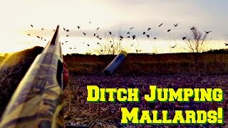 Jump Shooting Ducks | Indiana Duck Hunt Episode 6