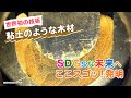【あさチャン!】木材が粘土のように変形！世界初の"流動成形" 技術で、プラスチックに変わる未来の万能素材を作る【SDGsな未来へここスゴッ!発明 】