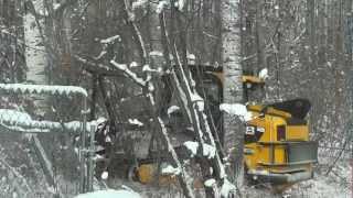 Mulcher, JCB Tracked Loader from Cervus Equipment Alberta Canada