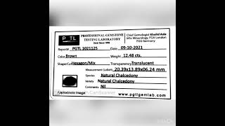 PGTL1021125
