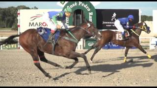 06/01/2017 – Hipodromo Maroñas – Carr 13 – HIPODROMO DE LA PLATA