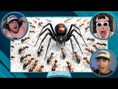 What if 1,000 ANTS Battled 1 BLACK WIDOW ?!