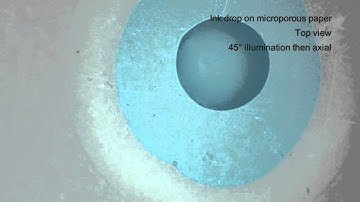 DP3 Video Microscopy