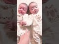 ふたご弟がやりたい放題。 #双子 #赤ちゃん #生後4ヶ月