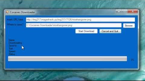 My file downloader made in Visual Basic 2010