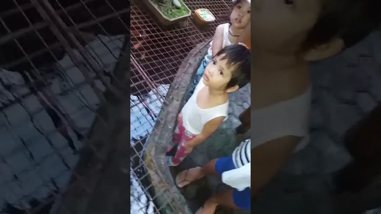 Kulitan ng  mga bata  YouTube