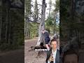 Epic Tree Push Smash | Man News (via sheer.health777/ig) #tree #satisfying #waitforend #react