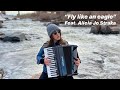 Fly Like an Eagle - cover by Alicia Jo Straka