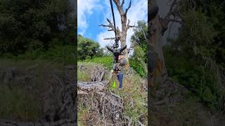 77-Yard 3D Elk Archery Shot | Long Range Bowhunting POV with Insta360 X5 screenshot 4