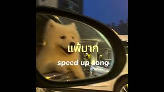 แพ้มาก (K.O.)- sarah salola/DoubleBam/JIXGO 【speed up song】