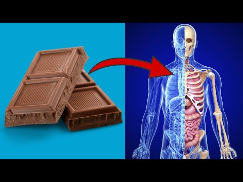 Video: Er der theobromin i hvid chokolade?