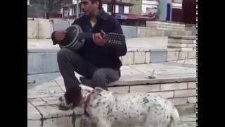 Şarkı söylerken köpeğe hoşt diyen adam koptum Resimi