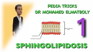 ALL PEDIATRIC METABOLIC - SPHINGOLIPIDOSIS ( PART 1 )