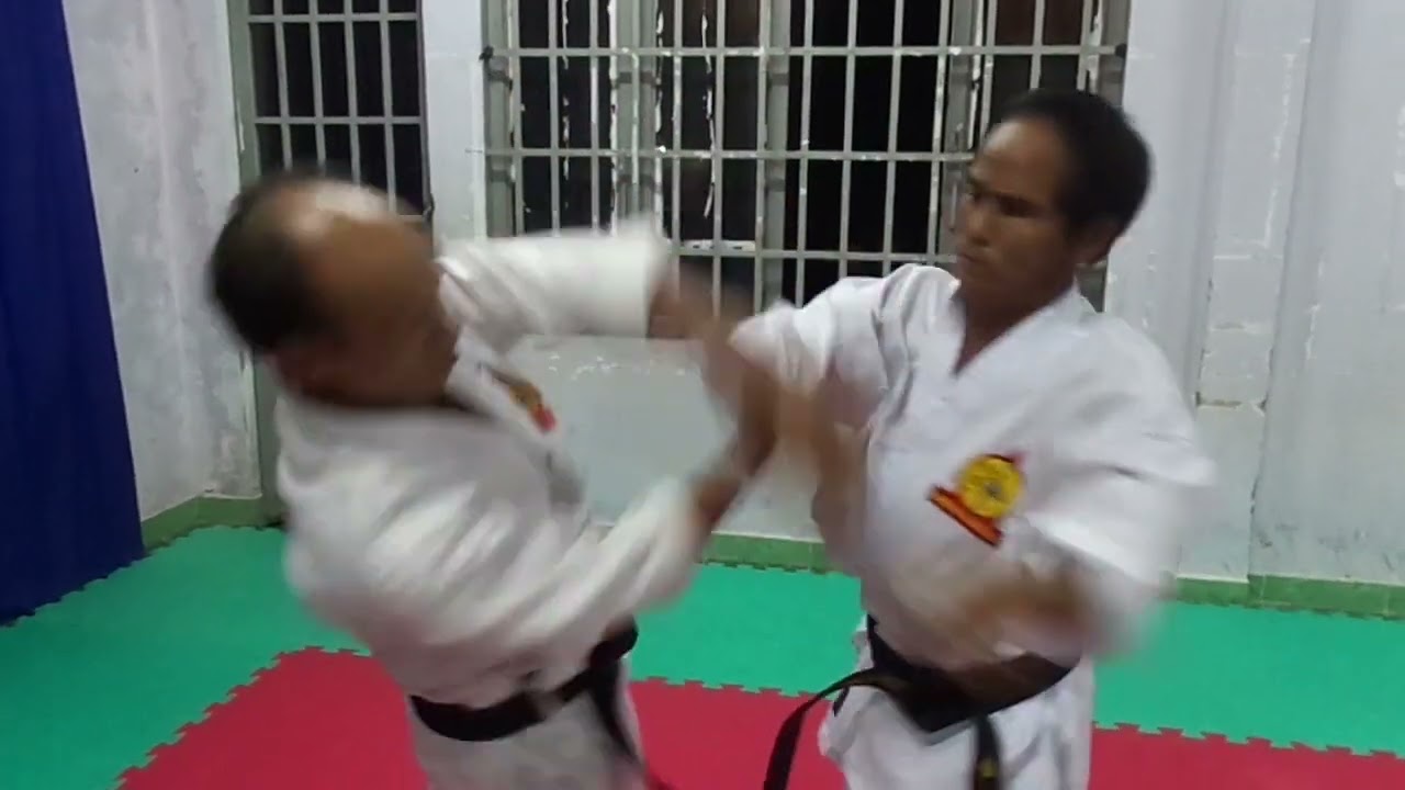 Awesome Hapkido Self defense Knife Techniques by Master Tan in Vietnam