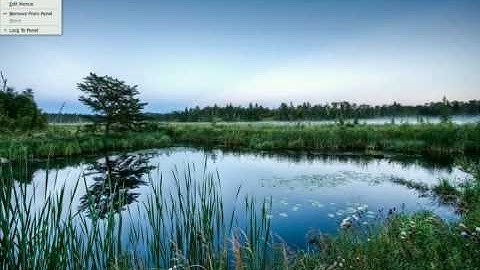 Removing displayed applications icons