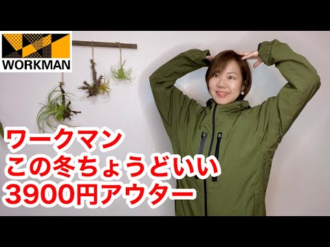 【ワークマン】暖冬ならこれでちょうどいい、むしろこれがいい/イージス防水防寒サーマルジャケット3900円