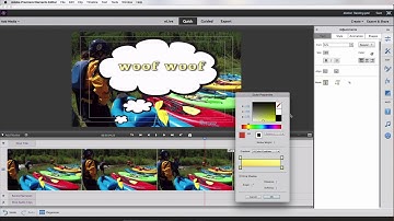 Motion Tracking Tool Tutorial with VidProMom