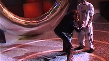 Thumbnail of Maná, Angel de Amor, Festival de Viña 2003