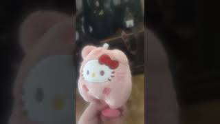hello kitty and fox food no more warning bad no body works that you have food pricess