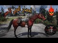 Reed Dead REDEMPTION مكان الحصان العربي الاحمر 