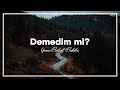 Yavuz Bülent Bakiler - Demedim mi?