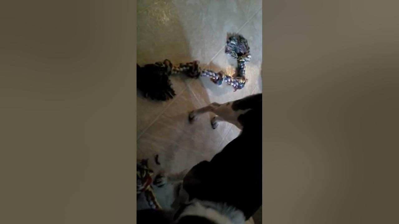 this-is-for-you-abbie-youtube