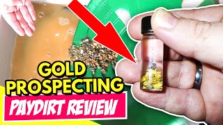 GOLD Paydirt review - Goldbay with Gold Panning tips