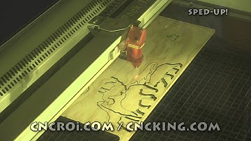 CNC Laser Cutting Animals!