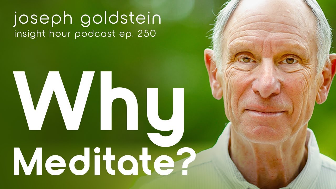 Why Meditate? With Joseph Goldstein – Insight Hour Ep. 250