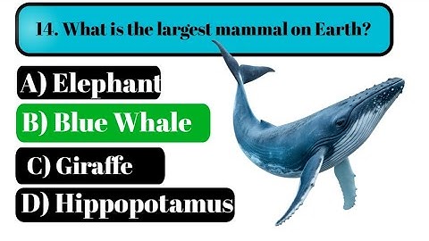 Learn Something New Every Day!📚.