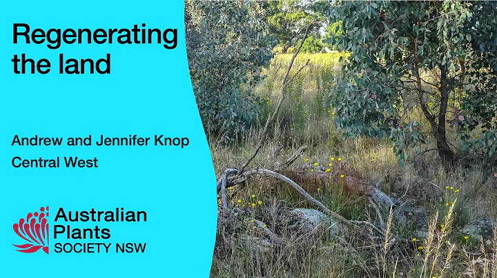 Regenerating the land - Andrew and Jennifer Knop