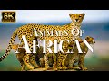 4k african wildlife mudumu national park africa  relaxation film with african music