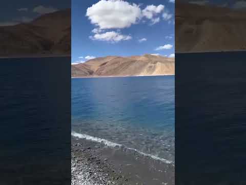 Summer Vacation in Ladakh | Leh Ladakh  #shorts #youtubeshorts #short #ladakh #leh