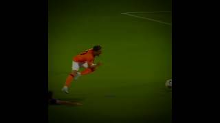 Barış Alper Yılmaz Köpeklere Had Bildiriyor