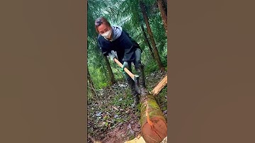 cool technique for splitting wood using a sharp axe #shorts