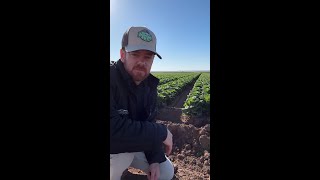 Soil Health 101